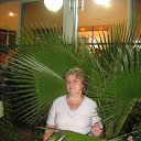 ���� �������, �����-���������, 71 ��� - ��������� 30 ������� 2013