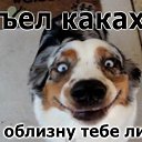 ���� �����, ��������, 40 ��� - ��������� 4 ����� 2014 � ������ ������ ��������