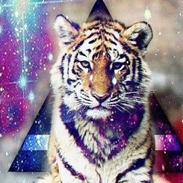 ����, �������, 28 ���