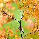 ���� ����, �����-���������, 58 ��� - ��������� 8 ������� 2013 � ������ �����������