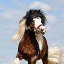  , , 69  -  2  2014   û