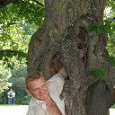 � ����������