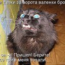 ���� ������, �����, 53 ���� - ��������� 10 ����� 2014 � ������ �������