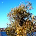 ���� �����, �����, 64 ���� - ��������� 30 ������ 2013 � ������ ��Ψ�