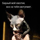 ���� ������, ������, 46 ��� - ��������� 28 ������ 2014 � ������ ���� ����������