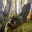 ���� �������, �����������, 32 ���� - ��������� 31 ������� 2013 � ������ ���� ����������