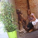 ���� �����, �����-��������� - ��������� 8 ������� 2013 � ������ ���� ����������