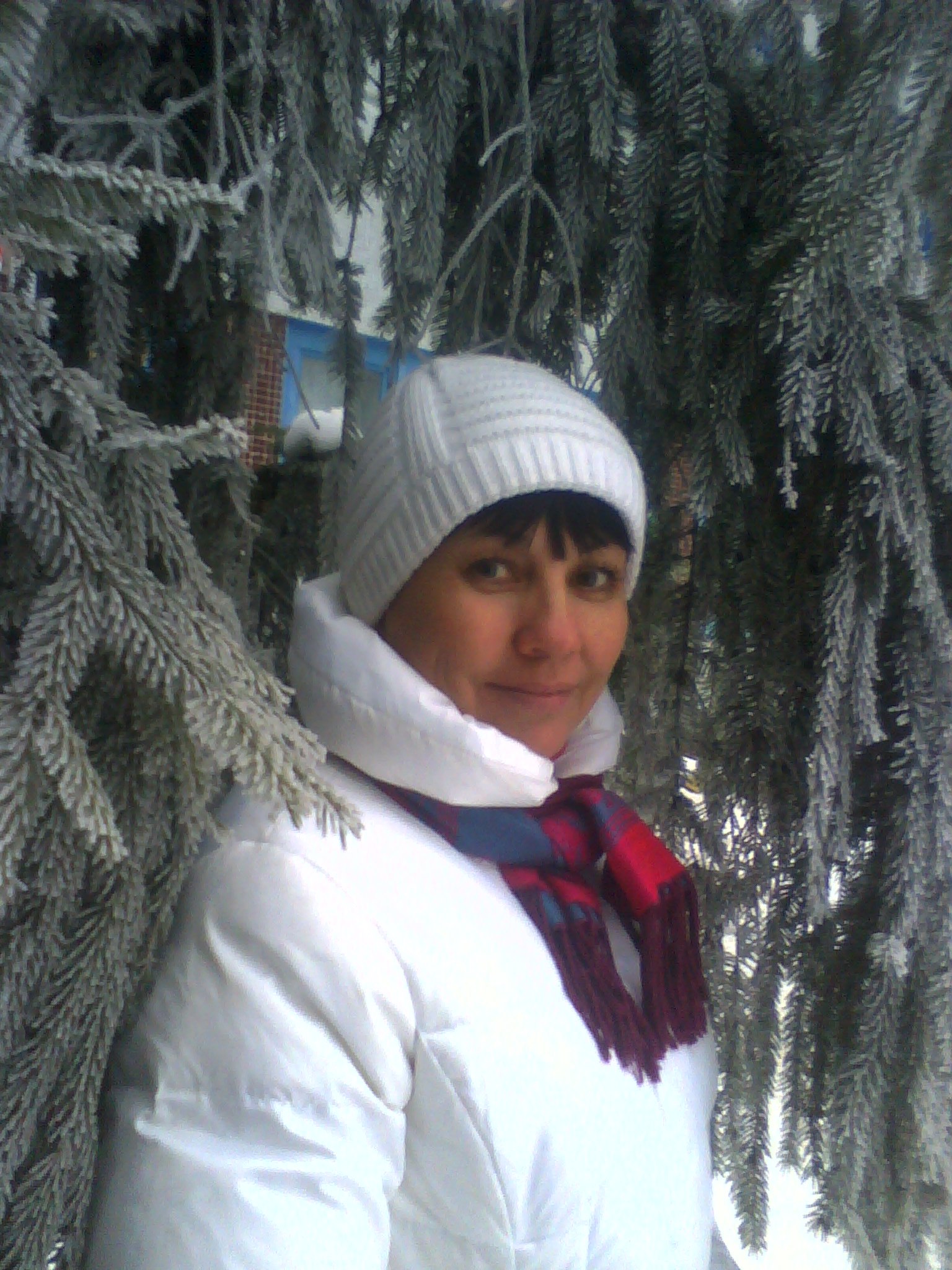 ���� - 11 ����� 2014 � 22:49