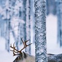 ���� �����, ����, 42 ���� - ��������� 30 ������ 2013 � ������ ������ ��������