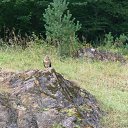 ���� �����, ����, 62 ���� - ��������� 10 ������� 2013