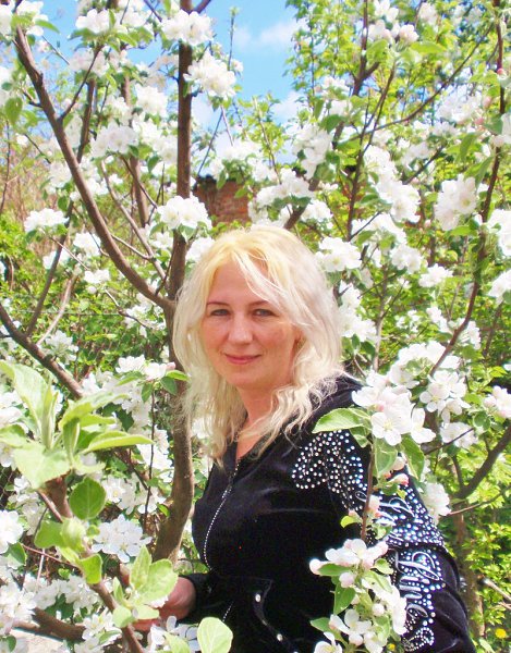 :   ! - , 55 , 