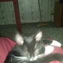 ���� Aleksey, �����-���������, 37 ��� - ��������� 12 ������ 2014 � ������ ���� ����������