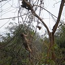 ���� ������, ������, 58 ��� - ��������� 26 ������� 2013 � ������ ���� ����������