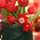 ���� ����, ������, 67 ��� - ��������� 8 ����� 2014 � ������ ������ ��������