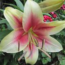 ���� ��������, ��������, 64 ���� - ��������� 30 ������ 2013 � ������ ���� ����������