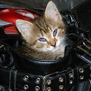 ���� ������, ����� - ��������� 12 ������� 2013 � ������ ���� ����������