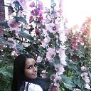 ���� ���, �����-���������, 36 ��� - ��������� 25 ������ 2014 � ������ ������ ��������