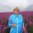 ���� �������, �������, 67 ��� - ��������� 18 ������ 2013 � ������ ���� ����