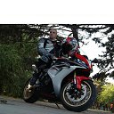 ���� ������, ���������, 41 ��� - ��������� 14 ������ 2013 � ������ ���� ����������
