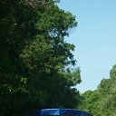 ���� ���, ������, 49 ��� - ��������� 16 ������� 2014 � ������ ������� �� ���