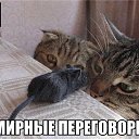  , , 71  -  10  2014     .