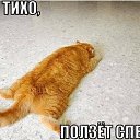 ���� ����, ������ ��� - ��������� 24 ������� 2013 � ������ �))))�