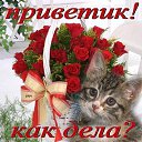 ���� �������, ������ ����� - ��������� 9 ����� 2014 � ������ ���� ������