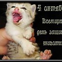 ���� �p��, ������, 25 ��� - ��������� 28 ������� 2013 � ������ �1�