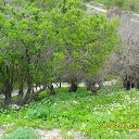���� Mihail, ����, 63 ���� - ��������� 11 ������ 2013 � ������ ���� ����������