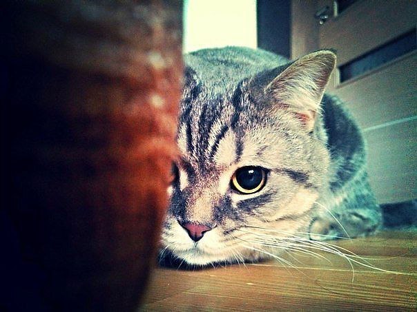 )))