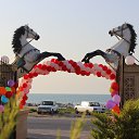 ���� Zoxrab, ����, 51 ��� - ��������� 10 ������� 2013 � ������ ���� ����������