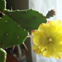 ��� ����� - ��� ��� ���� ����������? �� ������� ����� ��� ������������