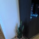 ���� ������, ������, 45 ��� - ��������� 12 ������� 2013 � ������ ������ ������� � ����������