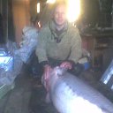 ���� �������, �������������, 50 ��� - ��������� 7 ������ 2014 � ������ ���� ����������