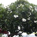  ,  -  2  2013    2013