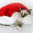 ���� ����, ����� - ��������� 26 ������� 2013 � ������ �� �����