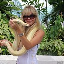 ���� ��������, ������ - ��������� 30 ������� 2013 � ������ ���� ����������