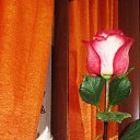 ���� ���� Beautiful, ������� - ��������� 16 ������� 2014 � ������ ���� ������� ���