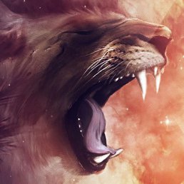 �������, �������, 26 ���