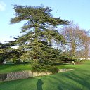 v parke �� ������� ���� ����������