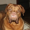 ��� ��������� !!! �� ������� ���� �������� !!!�