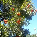 ���� �������, ����������� - ��������� 2 ������� 2013 � ������ ���������ʻ