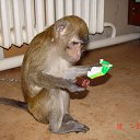 ���� Benjamin, ������, 62 ���� - ��������� 15 ������� 2013 � ������ ���� ����������