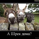 ���� ����la ��, ������� - ��������� 27 ������� 2014 � ������ ������ ��������