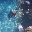 ���� ���������, ����������, 42 ���� - ��������� 28 ������� 2013 � ������ ������ 2013�