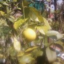 ���� ��������, ����� - ��������� 3 ����� 2014 � ������ ��฻