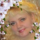 ���� �����, �������� ����, 66 ��� - ��������� 2 ������� 2013 � ������ ���� ����������