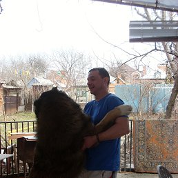 ���� ��������, ������-��-����, 51 ��� - ��������� 8 ������� 2013