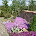 ���� ������ ����, ����, 44 ���� - ��������� 17 ������� 2013 � ������ �������� ������!�