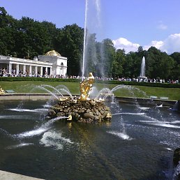 ���� �����, ���� - ��������� 7 ������ 2014